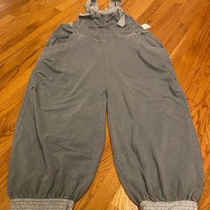 NWT Intimately free people jumper Gray size small